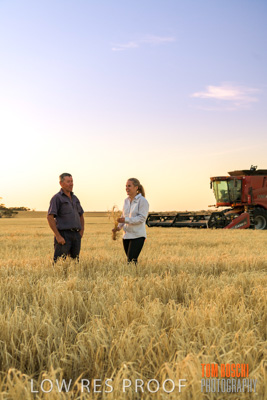December 2019 / BARLEY_HARVEST_GERANIUM_191210_257