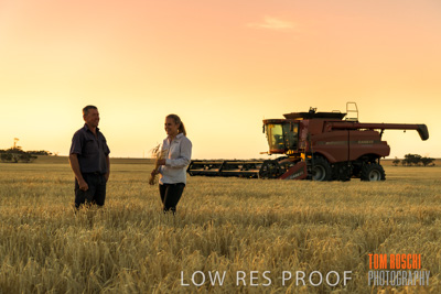 December 2019 / BARLEY_HARVEST_GERANIUM_191210_261