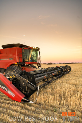 December 2019 / BARLEY_HARVEST_GERANIUM_191210_272