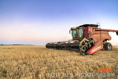 December 2019 / BARLEY_HARVEST_GERANIUM_191210_291