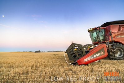 December 2019 / BARLEY_HARVEST_GERANIUM_191210_293