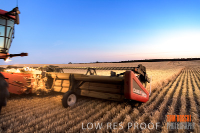 December 2019 / BARLEY_HARVEST_GERANIUM_191210_331