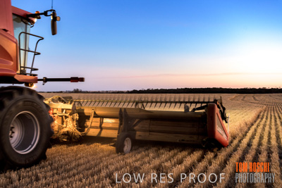 December 2019 / BARLEY_HARVEST_GERANIUM_191210_334