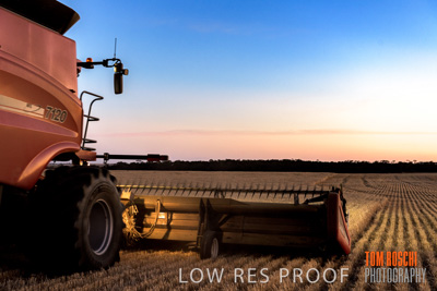 December 2019 / BARLEY_HARVEST_GERANIUM_191210_337
