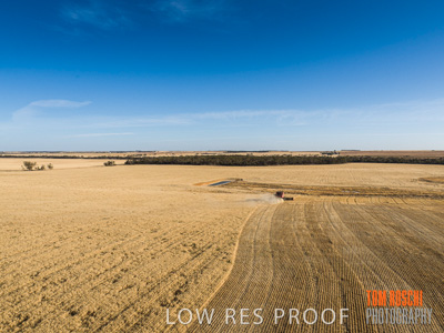 December 2019 / BARLEY_HARVEST_GERANIUM_191210_340