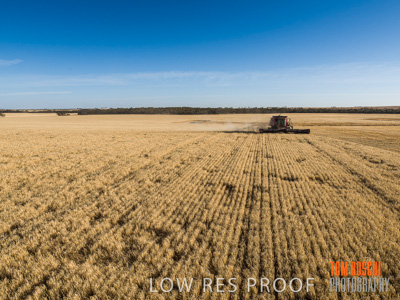 December 2019 / untitled-0812