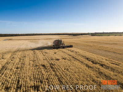 December 2019 / untitled-0815