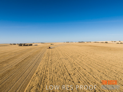 December 2019 / untitled-0826