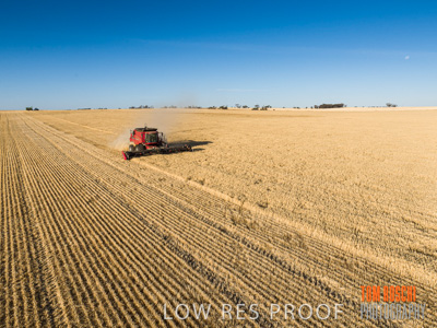 December 2019 / untitled-0841