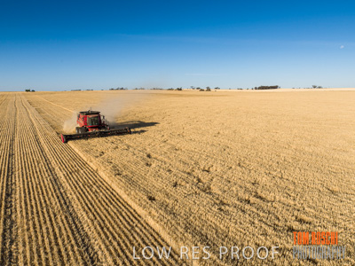 December 2019 / untitled-0848