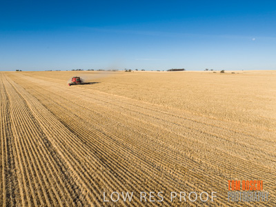 December 2019 / untitled-0862