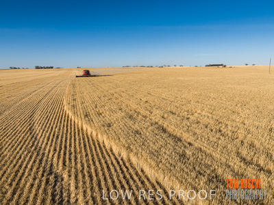 December 2019 / untitled-0868