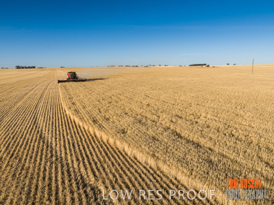 December 2019 / untitled-0874