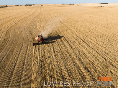 December 2019 / untitled-0889