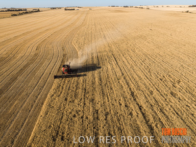 December 2019 / untitled-0892