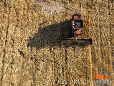 December 2019 / untitled-0924