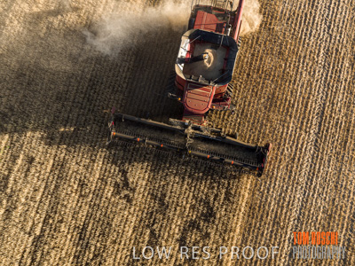 December 2019 / untitled-0939