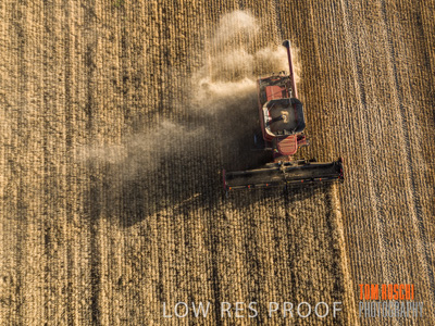 December 2019 / untitled-0942