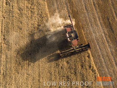 December 2019 / untitled-0945