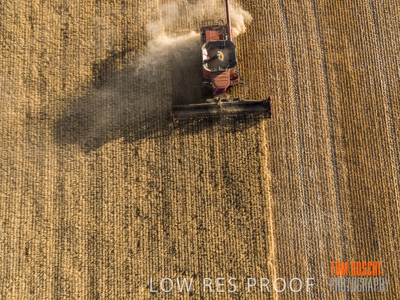 December 2019 / untitled-0951