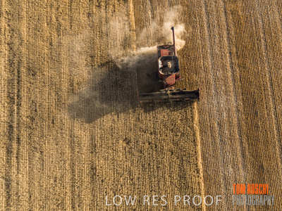 December 2019 / untitled-0954