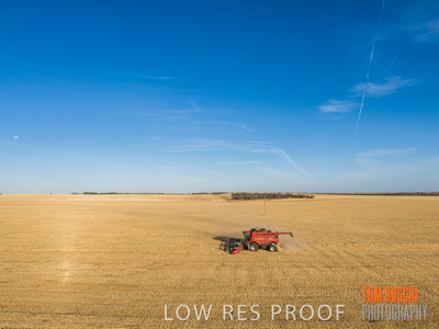 December 2019 / untitled-0961