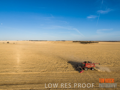 December 2019 / untitled-0973