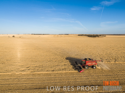 December 2019 / untitled-0979