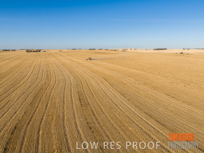 December 2019 / untitled-0994