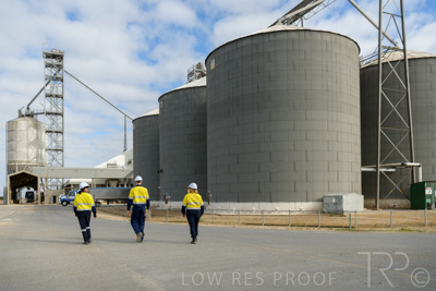 December 2020 / Tailem_Bend_201221_0324