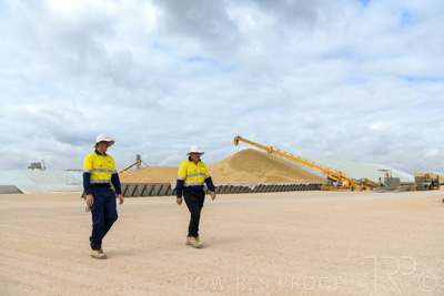 December 2020 / Tailem_Bend_201221_0505