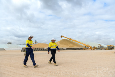 December 2020 / Tailem_Bend_201221_0506