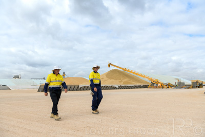 December 2020 / Tailem_Bend_201221_0520