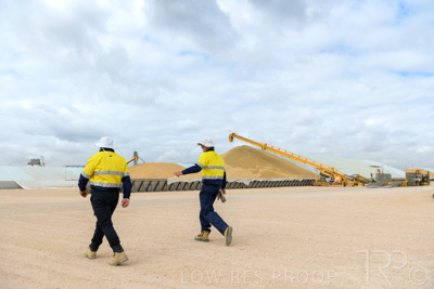 December 2020 / Tailem_Bend_201221_0524