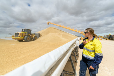 December 2020 / Tailem_Bend_201221_0627