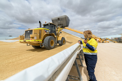 December 2020 / Tailem_Bend_201221_0630