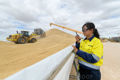 December 2020 / Tailem_Bend_201221_0646