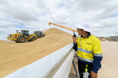 December 2020 / Tailem_Bend_201221_0648