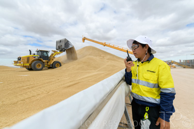December 2020 / Tailem_Bend_201221_0649