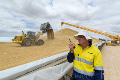 December 2020 / Tailem_Bend_201221_0663