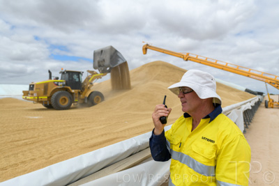 December 2020 / Tailem_Bend_201221_0667