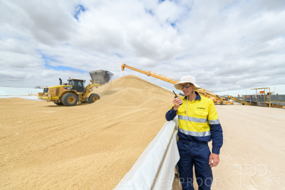 December 2020 / Tailem_Bend_201221_0680