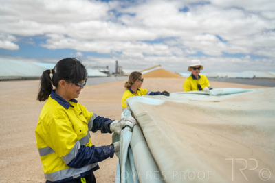December 2020 / Tailem_Bend_201221_0754
