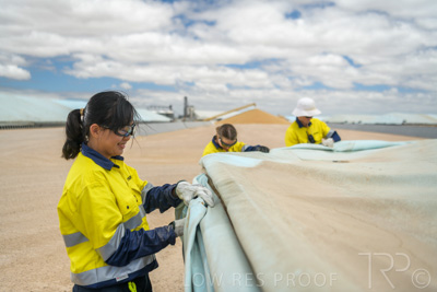 December 2020 / Tailem_Bend_201221_0755