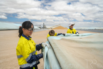 December 2020 / Tailem_Bend_201221_0756