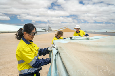 December 2020 / Tailem_Bend_201221_0761