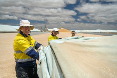 December 2020 / Tailem_Bend_201221_0771
