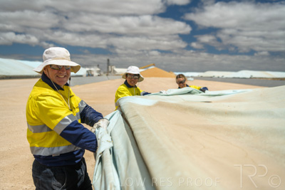 December 2020 / Tailem_Bend_201221_0773