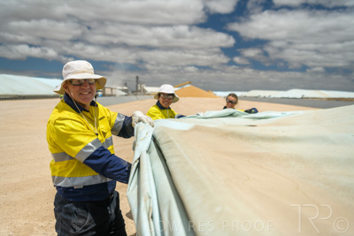 December 2020 / Tailem_Bend_201221_0774
