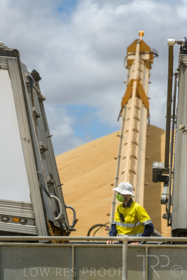 December 2020 / Tailem_Bend_201221_0784
